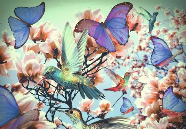 Ravensburger Puzzle Moments: Hummingbird 300 Piece Puzzle