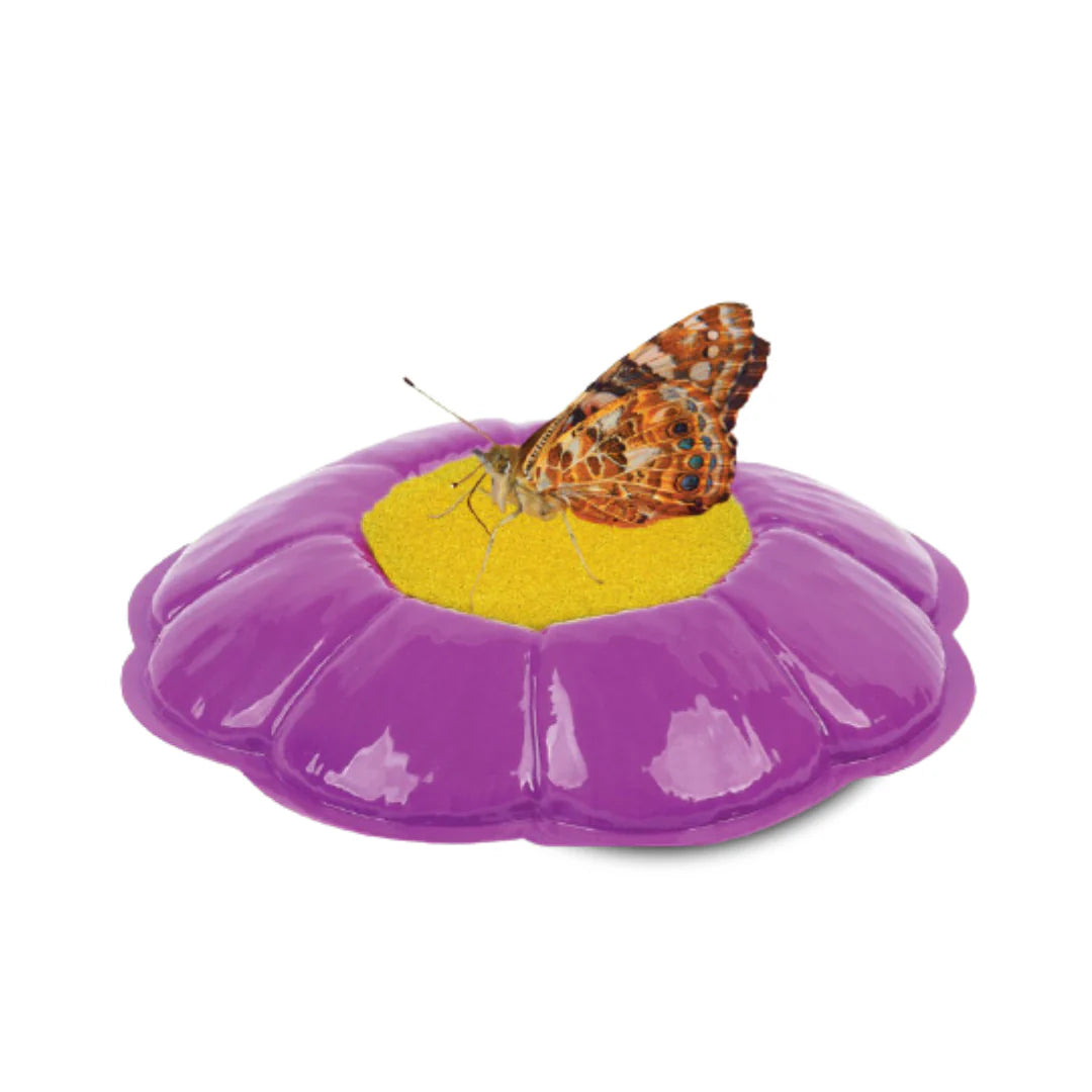 Insect Lore Butterfly Feeder