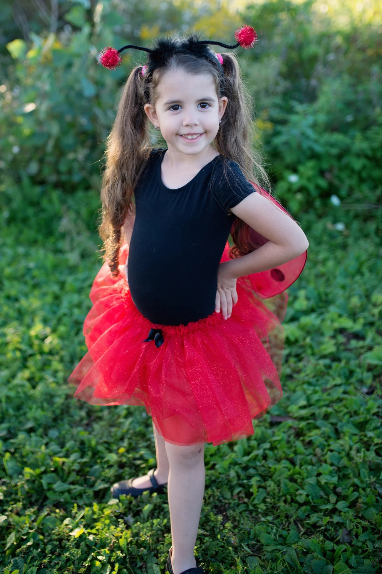 Ladybug Tutu with Wings & Headband - Size 4/6