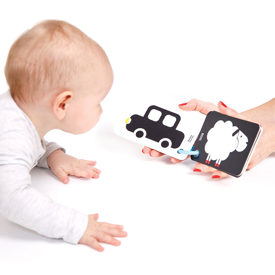 High Contrast Flashcards on a Ring for Ages 3 months+