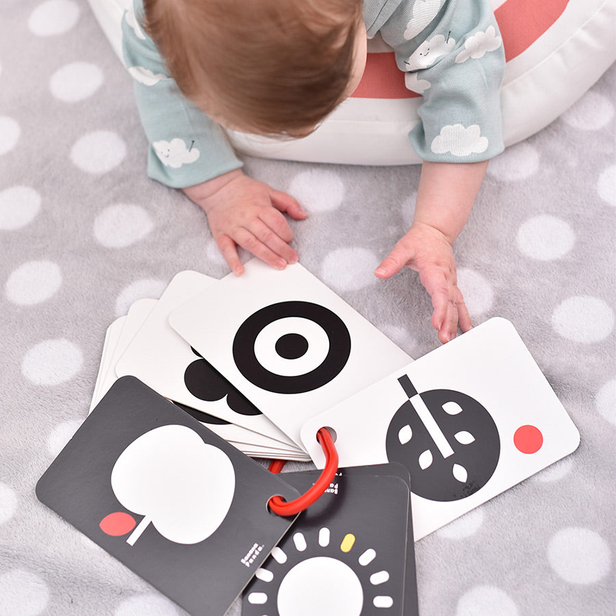 High Contrast Flashcards on a Ring for Ages 0+