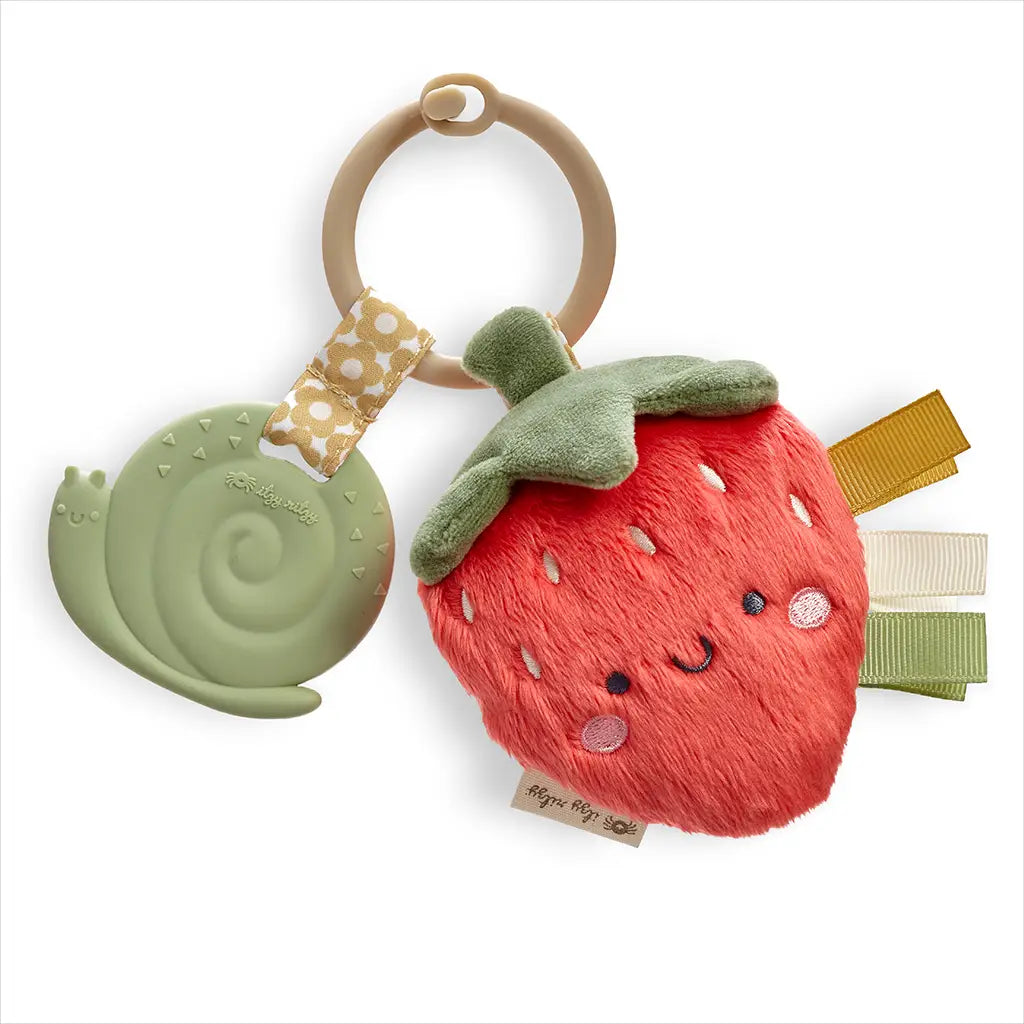 Itzy Ritzy Itzy Pal Teether